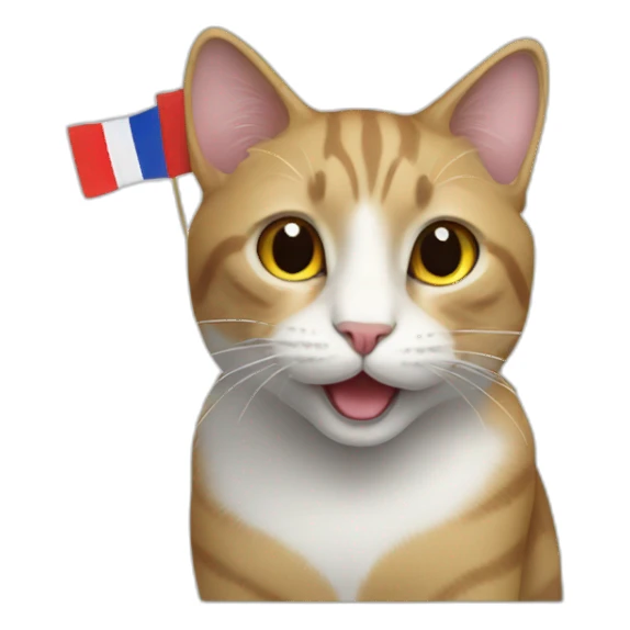 A cat with french flag sticker