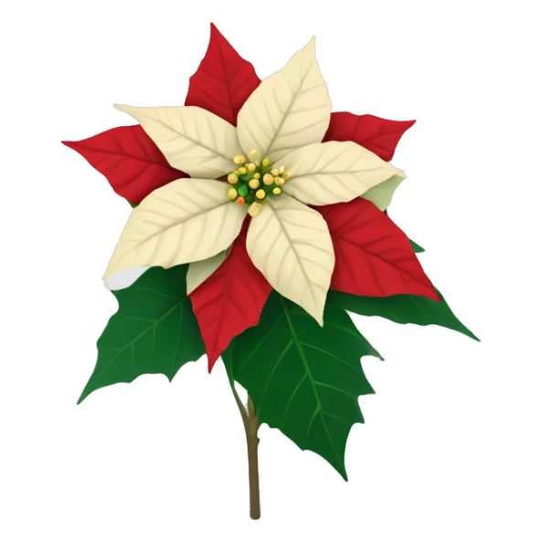 Poinsettia flower sticker