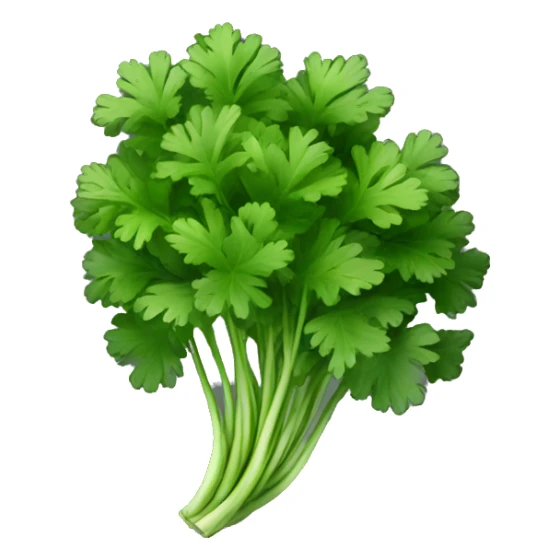 Cilantro with black background sticker