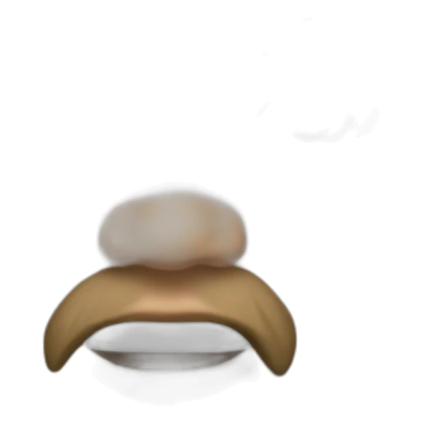 Leonardo Dicaprio sent kiss sticker