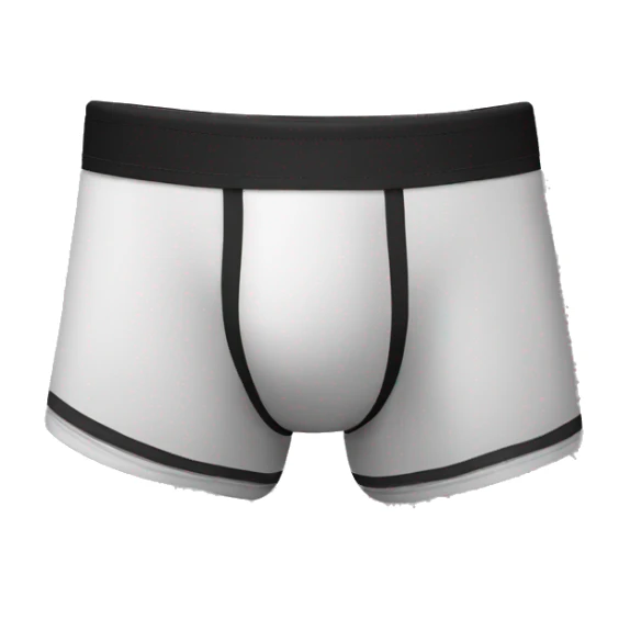 underwear boxer brief with panels on the inside sticker