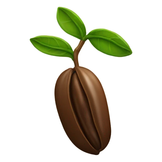 Coffee sead  sticker