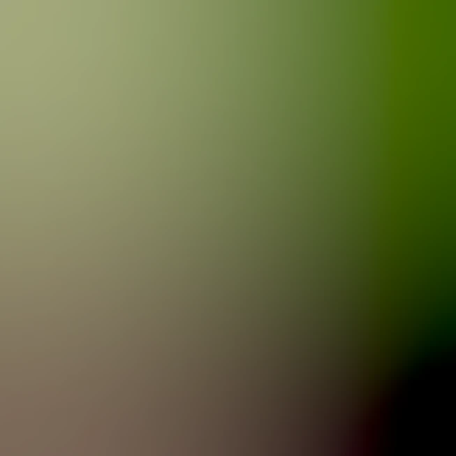 blurhash of the original image