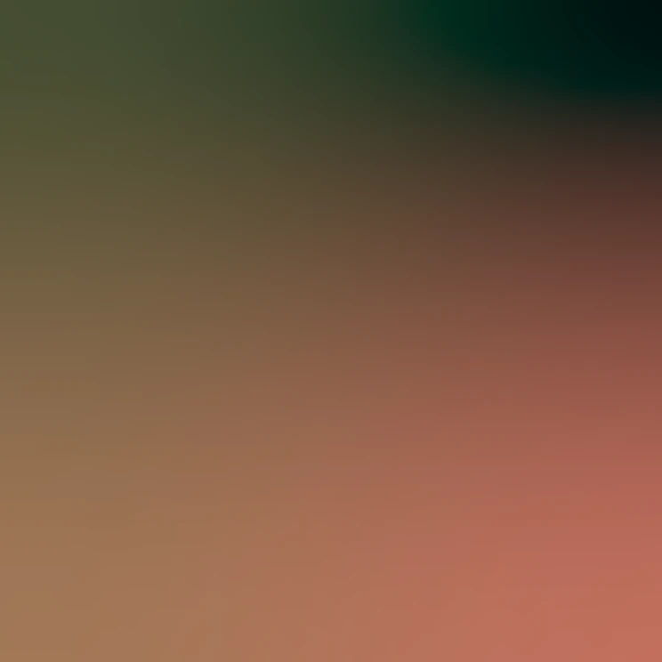 blurhash of the original image