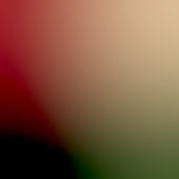 blurhash of the original image