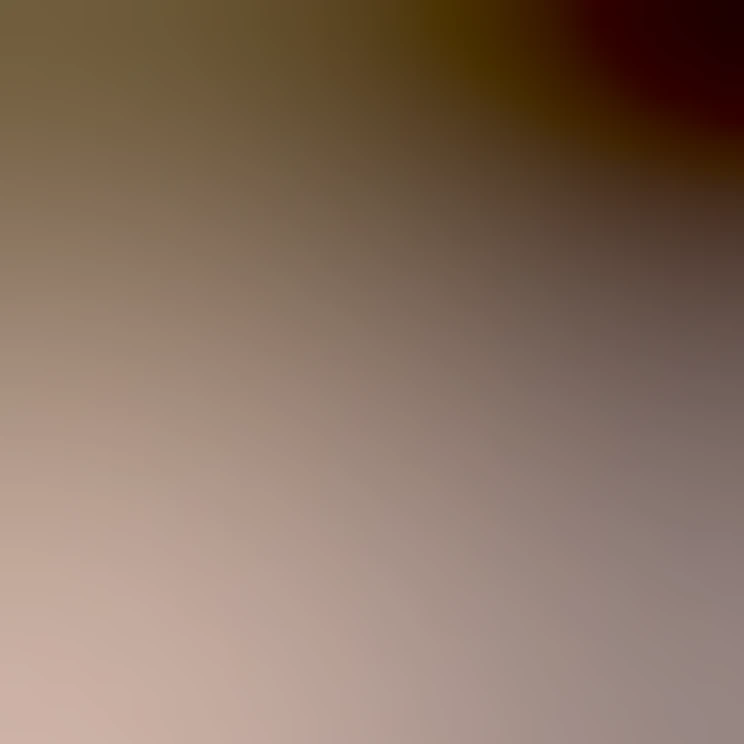 blurhash of the original image