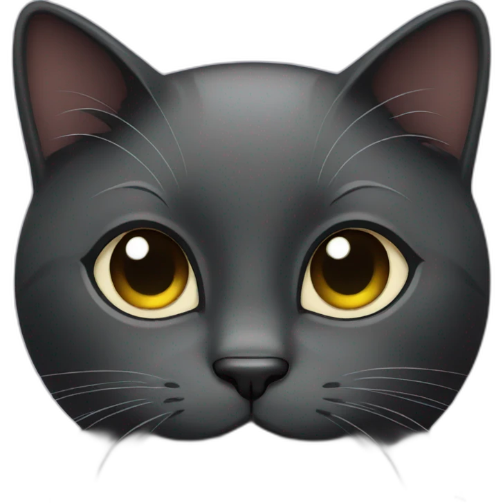 black cat emoji