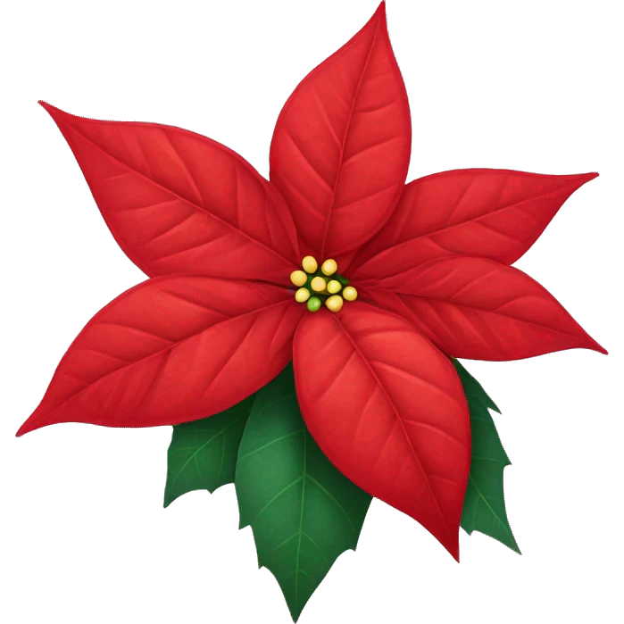 Bright red poinsettia flower emoji
