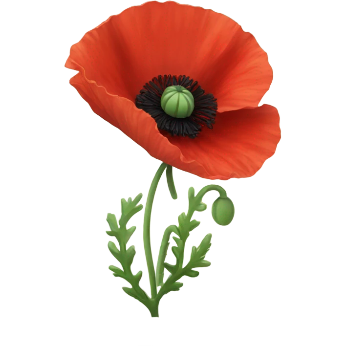 red poppy flower emoji