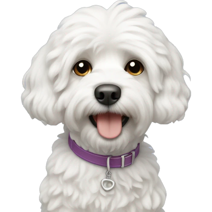 White cavapoochon dog emoji