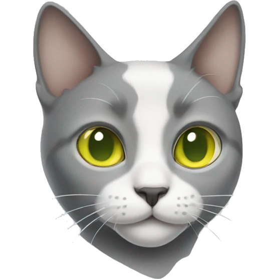 Gray-white cat with yellow-green eyes and a gray nose emoji