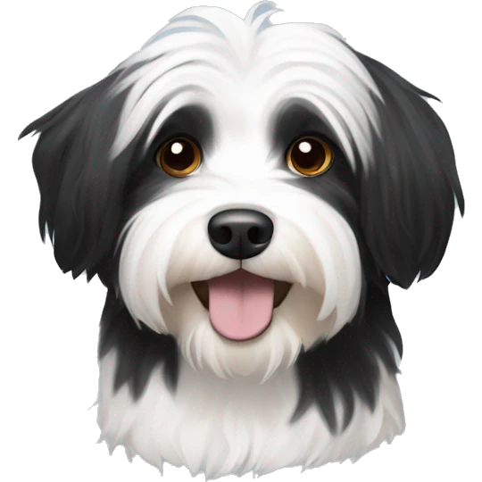 Black and white havanese  emoji