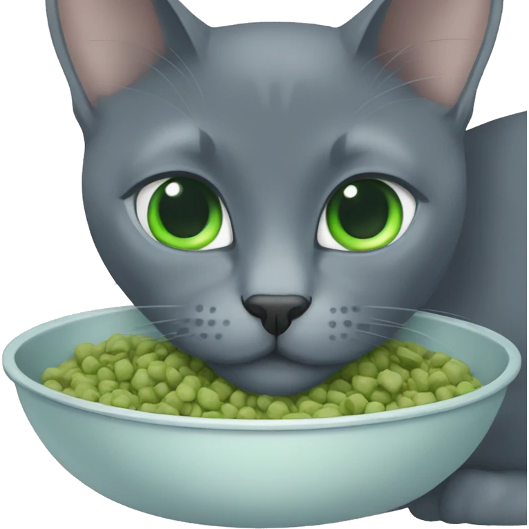 Russian Blue with blue,green eyes, eating cat food emoji