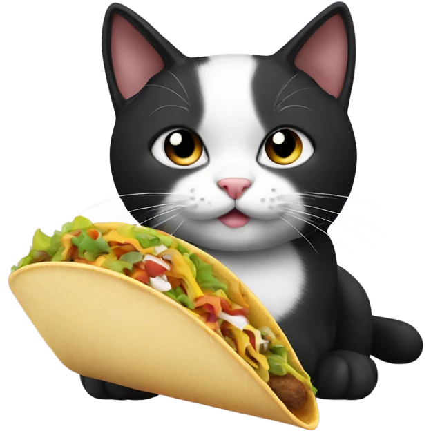 Black and white cat with a taco emoji