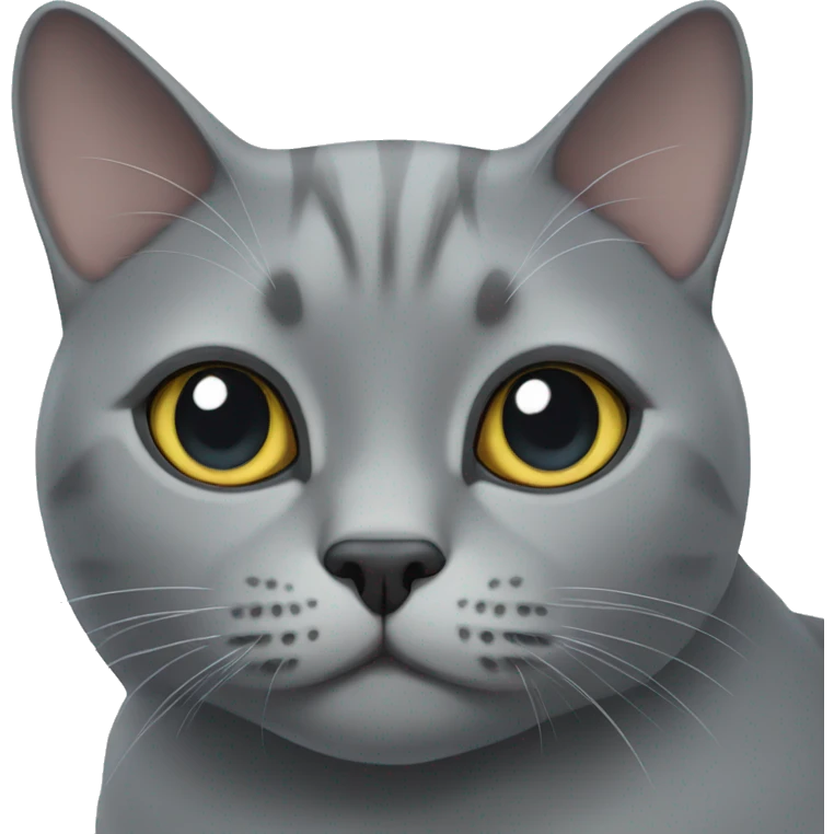 grey british cat  emoji