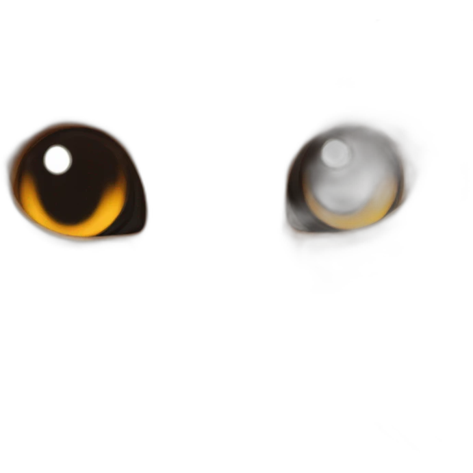Un chat roux avec des munettes de soleil noire emoji