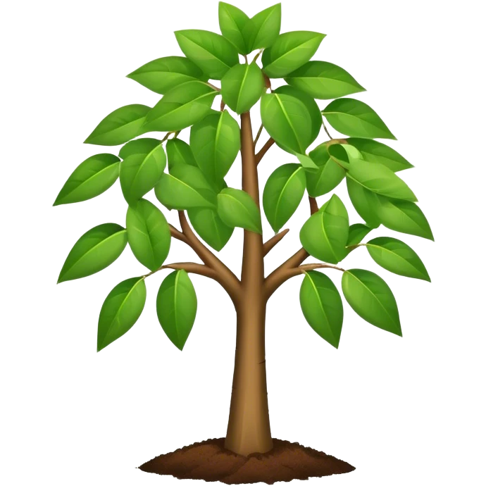 Money tree  emoji