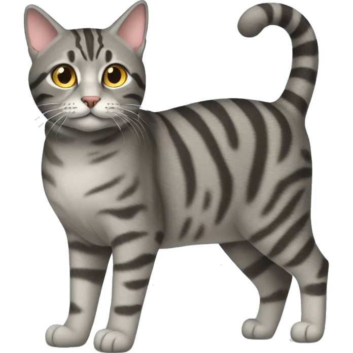 gray tabby cat full length emoji