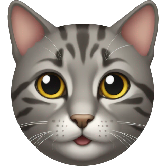 cat emoji