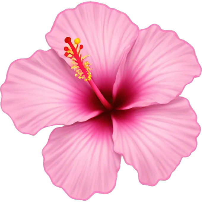 hibiscus flower pink emoji