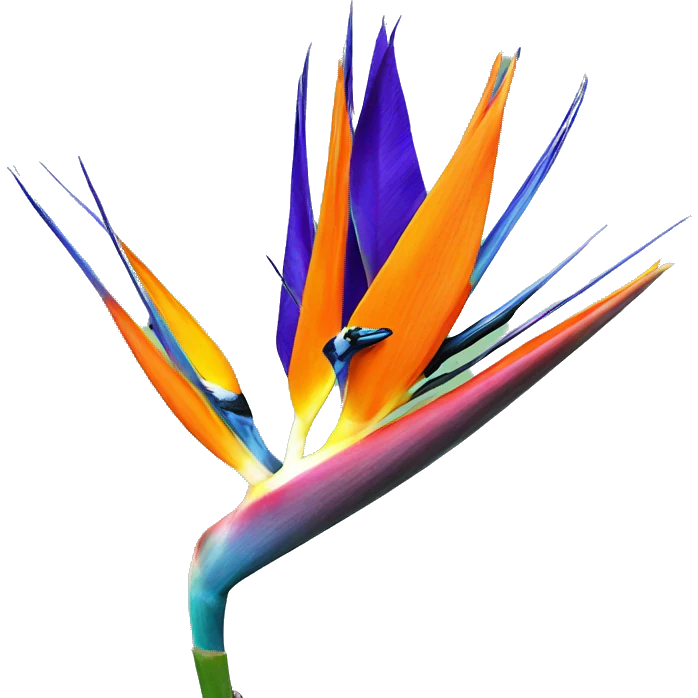 Bird of paradise flower emoji