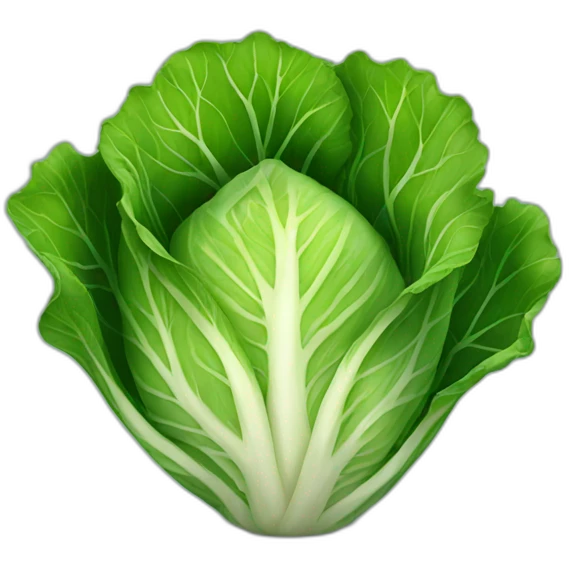cabbage  emoji