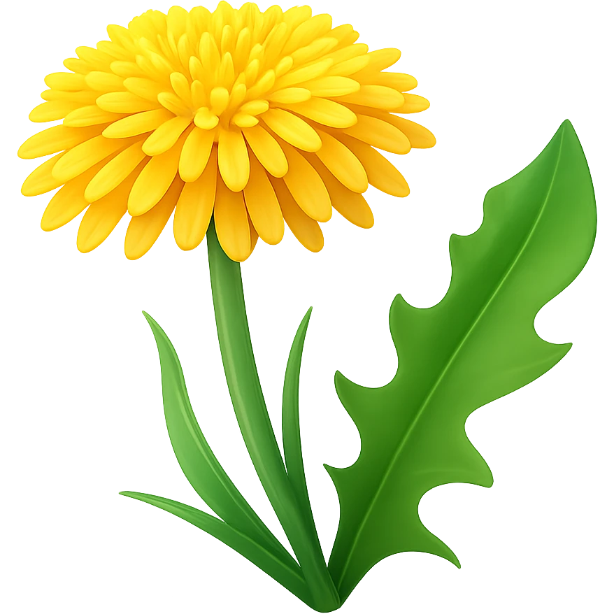 Create a 3D illustration of a dandelion in the style of iOS Apple emoji, featuring a voluminous yellow flower and a green leaf, on a transparent background. The style should mimic the Apple emoji look with smooth shading and vibrant colors. emoji