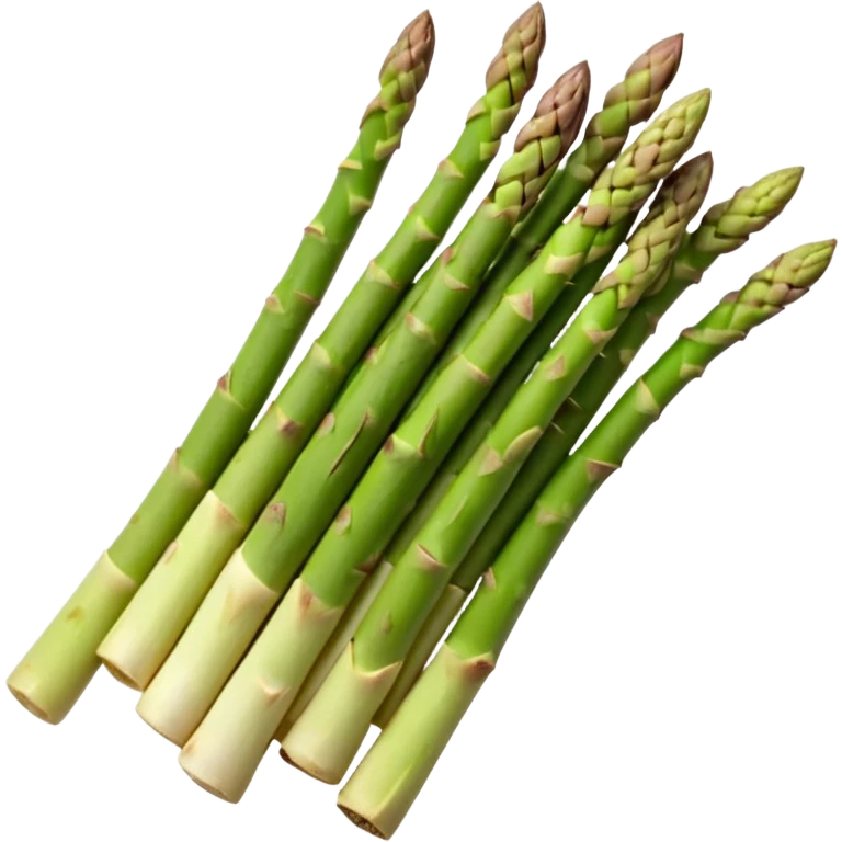 a bundle of asparagus spears, green, tight tips, firm stalks fading to pale, smooth with vertical ridges, natural color variation, stems aligned, unpeeled, slightly curved, no extras, soft lighting, emoji scale emoji