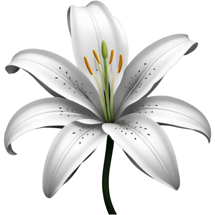 an outline of one singular lily flower, no colour,just outline emoji