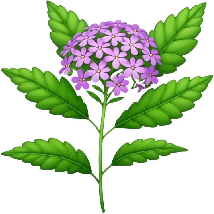 big single verbena flower, leaf emoji
