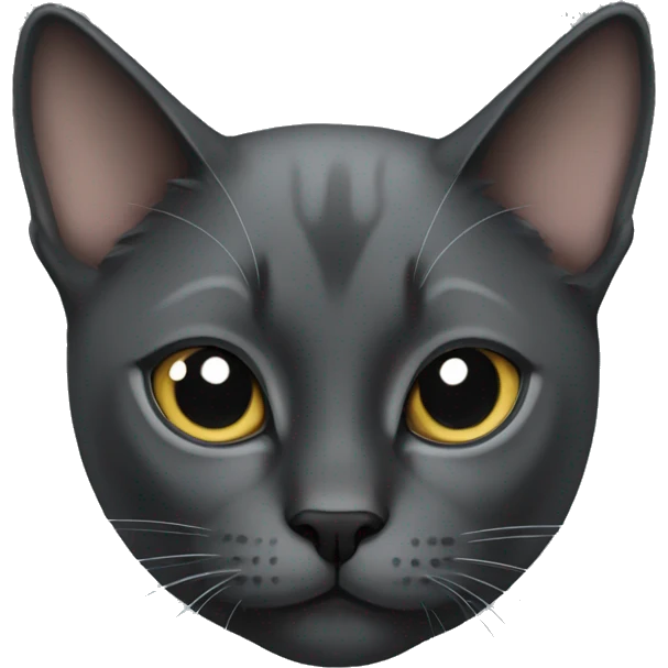 dark gray cat with siamese cat emoji