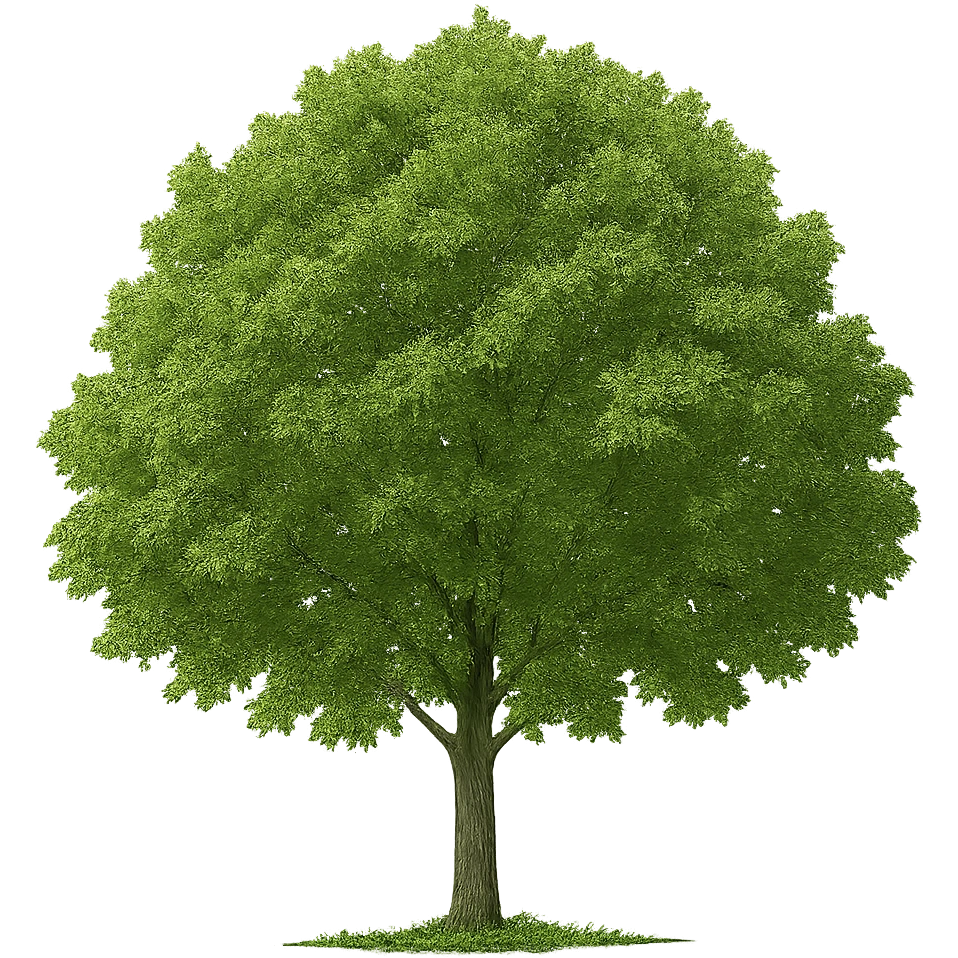 a green tree emoji