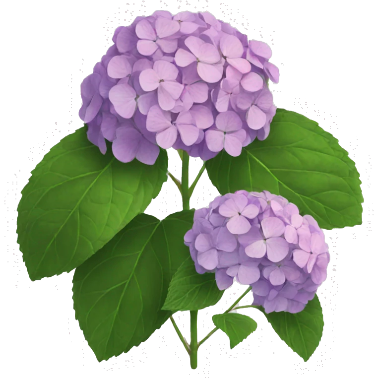Hydrangea  emoji