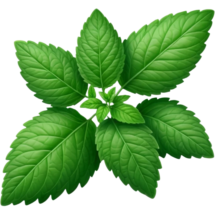 Peppermint (Mentha \(\times \) piperita)  emoji