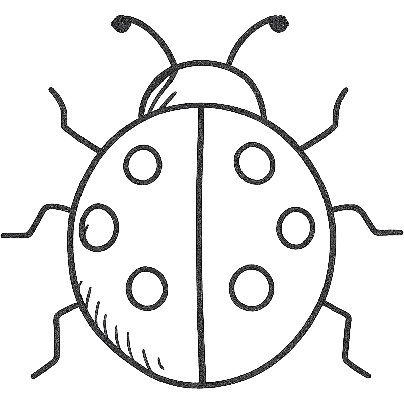 hand drawn black and white outlined ladybug, no fill emoji