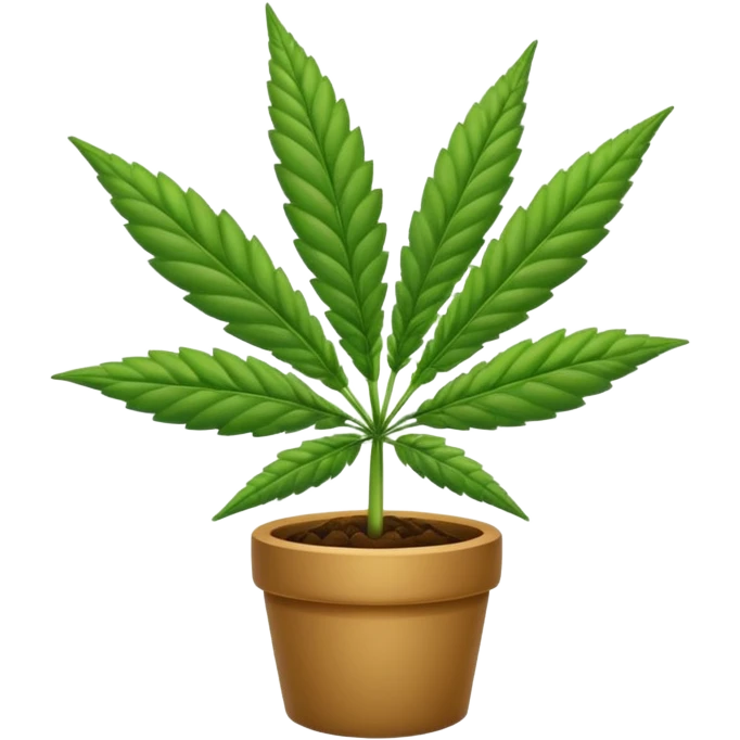 Marijuana plant  emoji