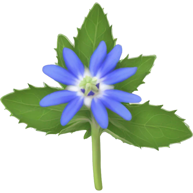 borage flower emoji