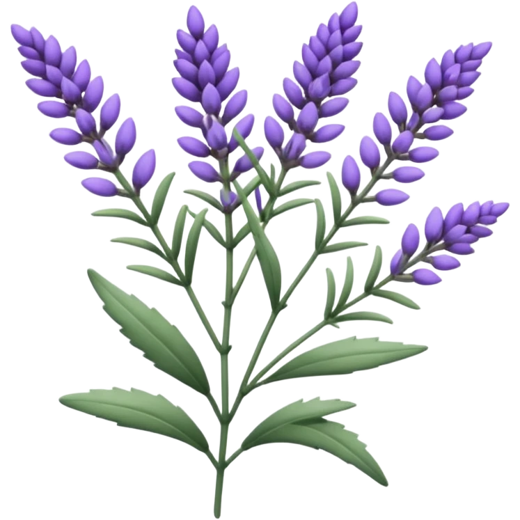 a sprig of lavender emoji