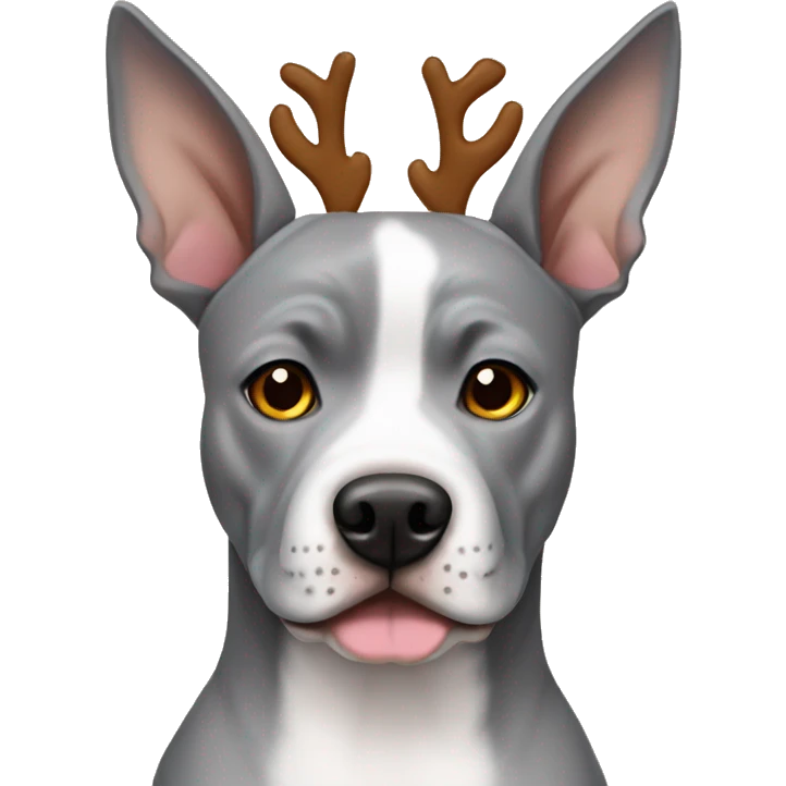 grey amstaff wearing raindeer ears emoji