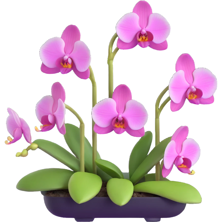 Elegant phalaenopsis moth orchid with detailed white and pink petals and green stem emoji