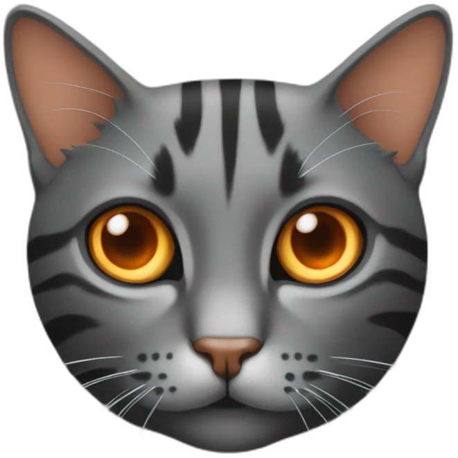Cat dark grey with stripes and with orange eyes and emoji