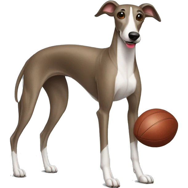 greyhound wearing football jersey emoji
