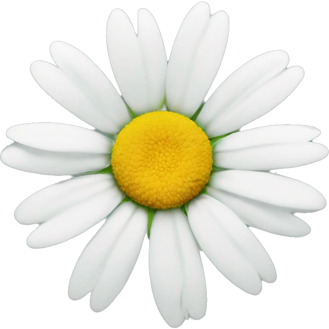 Daisy flower emoji