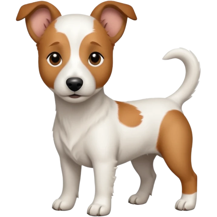 a full body white jack russel looking dog the size of a kelpie with light brown ears and a light brown patch on one eye, flopped down ears and a large snout emoji