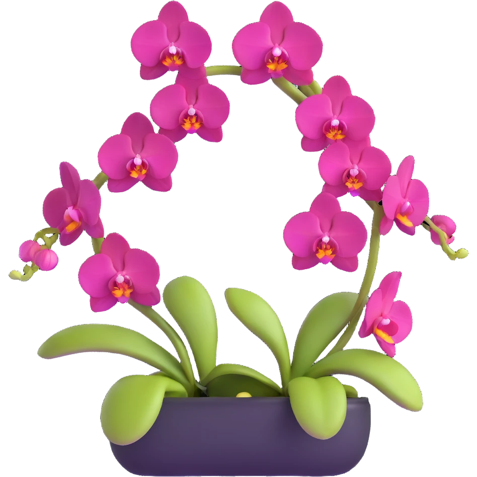 Detailed phalaenopsis moth orchid with realistic texture, elegant arching stem and multiple blooms emoji