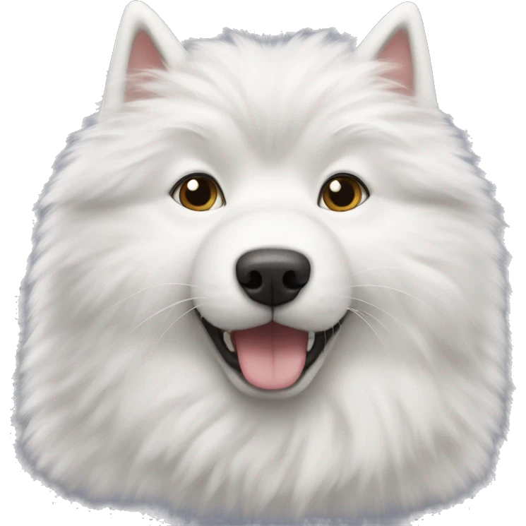Samoyed with a fluffy grey cat emoji