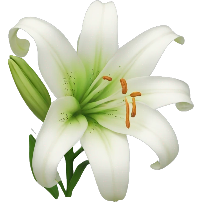 Lily  emoji