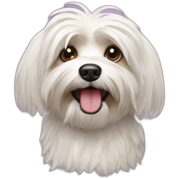Havanese dog crazy emoji