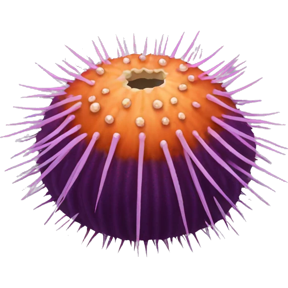 sea ​​urchin emoji