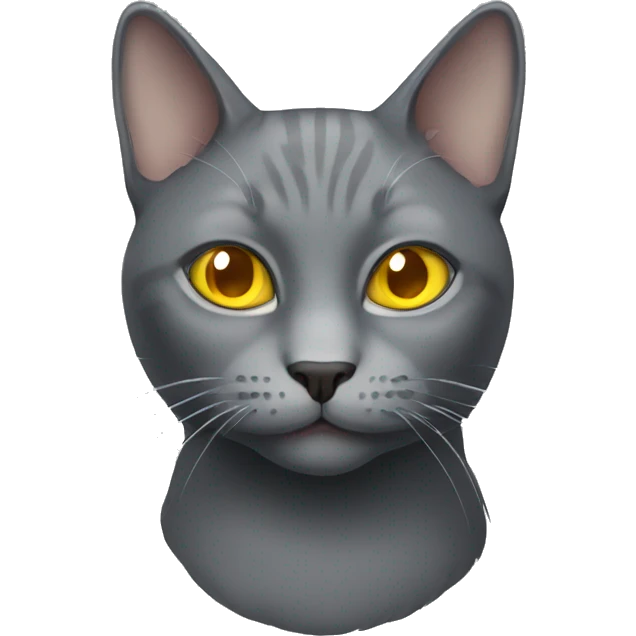 Grey cat with yellow eyes  emoji